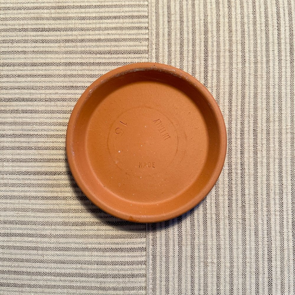 Clay Terracotta Plant Saucer - Picture 7 of 8